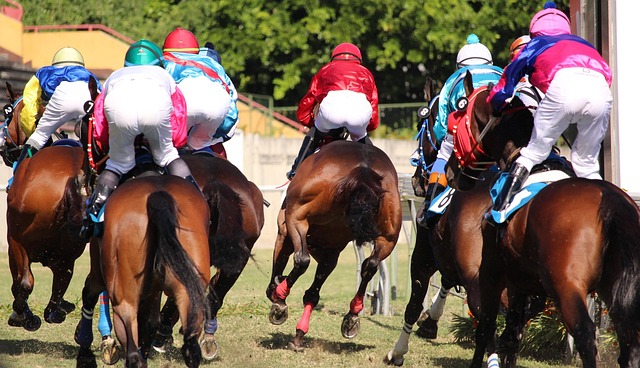 De danske jockeystjerner: Mød rytterne bag triumferne